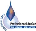 logo professionnel du gaz